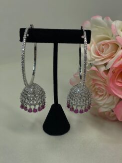 Silver and Red Earrings